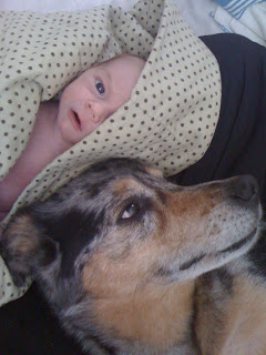 Our newborn Jacob with Quinoa